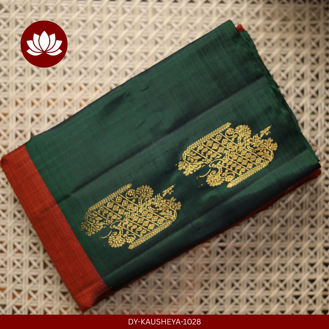  Dual-Tone Saree in Dark Orange and Dark Green